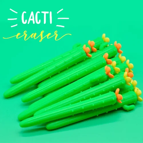 پاک کن فانتزی کاکتوس و هویج